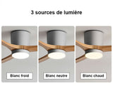 Ventilateur de Plafond Silencieux, Réversible en Bois avec Lumière et Télécommande - BORÉO