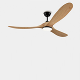 Ventilateur de Plafond Grande Taille 223 cm Silencieux Avec ou Sans Lumière - EXQUIO