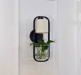 Wall Lamp with Glass Pot for Hydroponic Plants