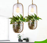 Planta Suspensión - KAMELIA