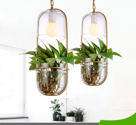 Planta Suspensión - KAMELIA