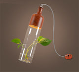 Plant Suspensions in Glass and Wood