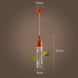 Plant Suspensions in Glass and Wood