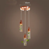 Plant Suspensions in Glass and Wood