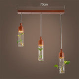 Plant Suspensions in Glass and Wood