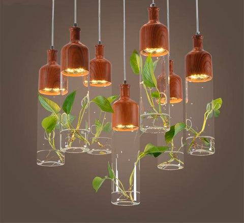 Suspensiones Vegetales en Vidrio y Madera