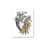 Floral Heart Anatomy Print - Flowery Brain