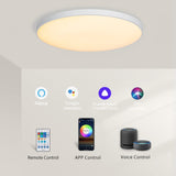 Plafonnier Connecté Wifi Blanc Couleurs Réglables Alexa/Google 30W - NEXA