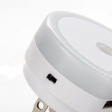 Veilleuse avec Capteur de Lumière Secteur avec Double Port USB