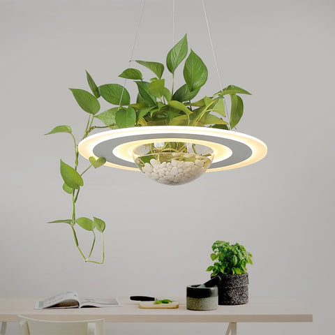 Suspensión vegetal con anillo - SATURNO