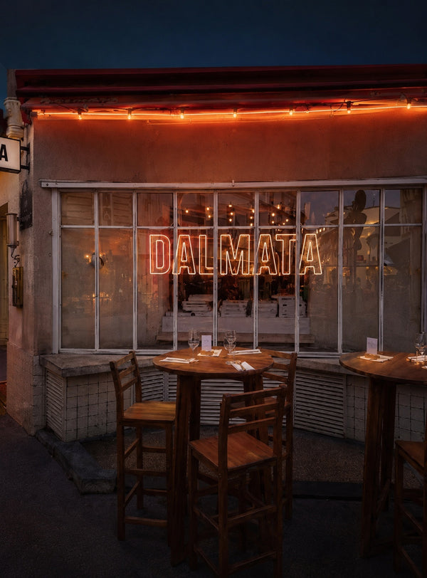 Dalmata Paris