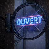 Projecteur Holographique Drapeau Double Face Étanche 42 cm