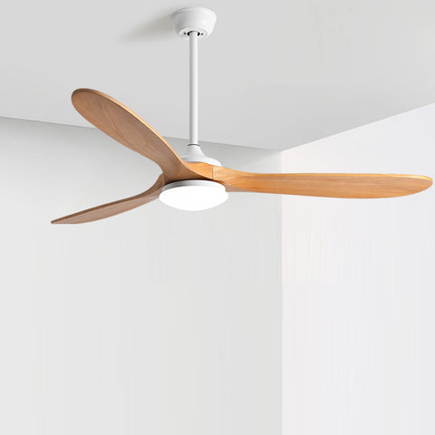 Commande Philippe Scali - Ventilateur EXQUIO 223 cm avec ampoule