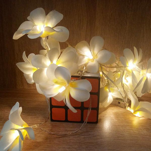Guirlande Lumineuse  à Piles Pétales de Fleurs