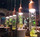 Plant Suspensions in Glass and Wood