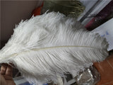 Ostrich Feather Pendant - OSTREE